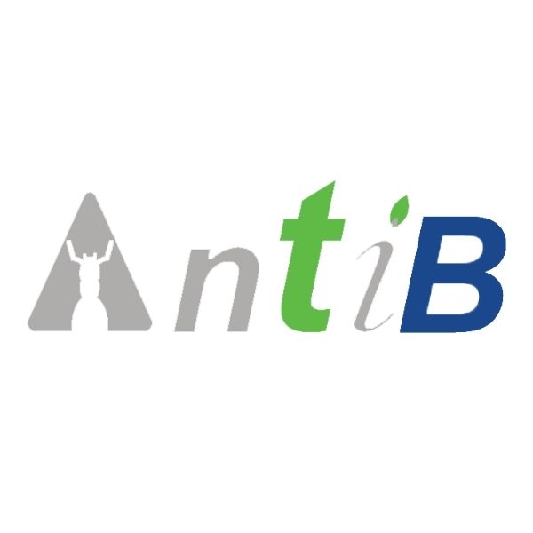 AntiB