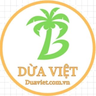 DỪA VIỆT XƯỞNG CHỔI CỌNG DỪA