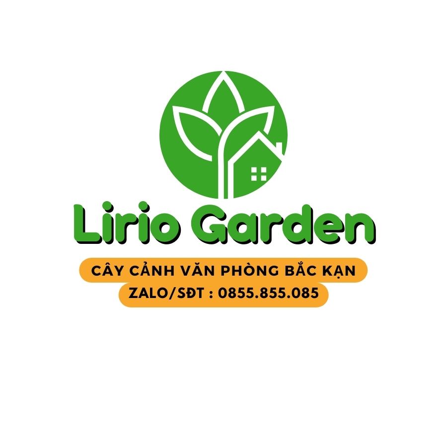 Lirio Garden