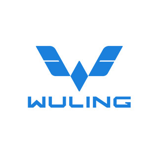 Wuling EV Official