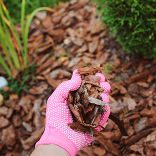 Wood Chip Tổng kho gỗ sân vườn