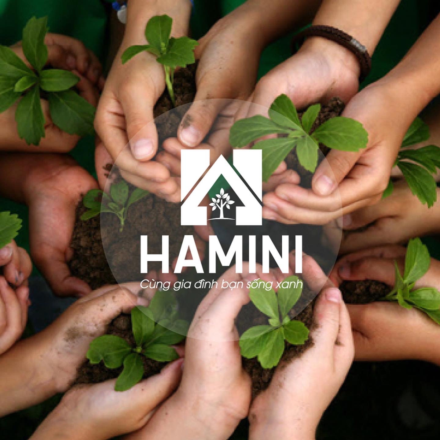 HaMinistore