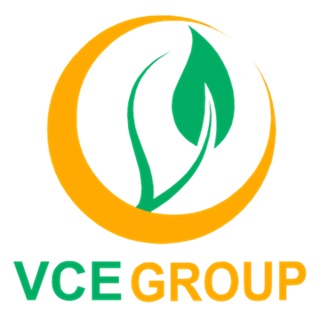 VCE GROUP