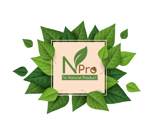 Logo huy hiệu Măng Non sẵn sàng file Vector Png PSD tải về miễn phí   VIETART PRODUCTION