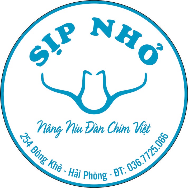 SỊP NHỎ HP