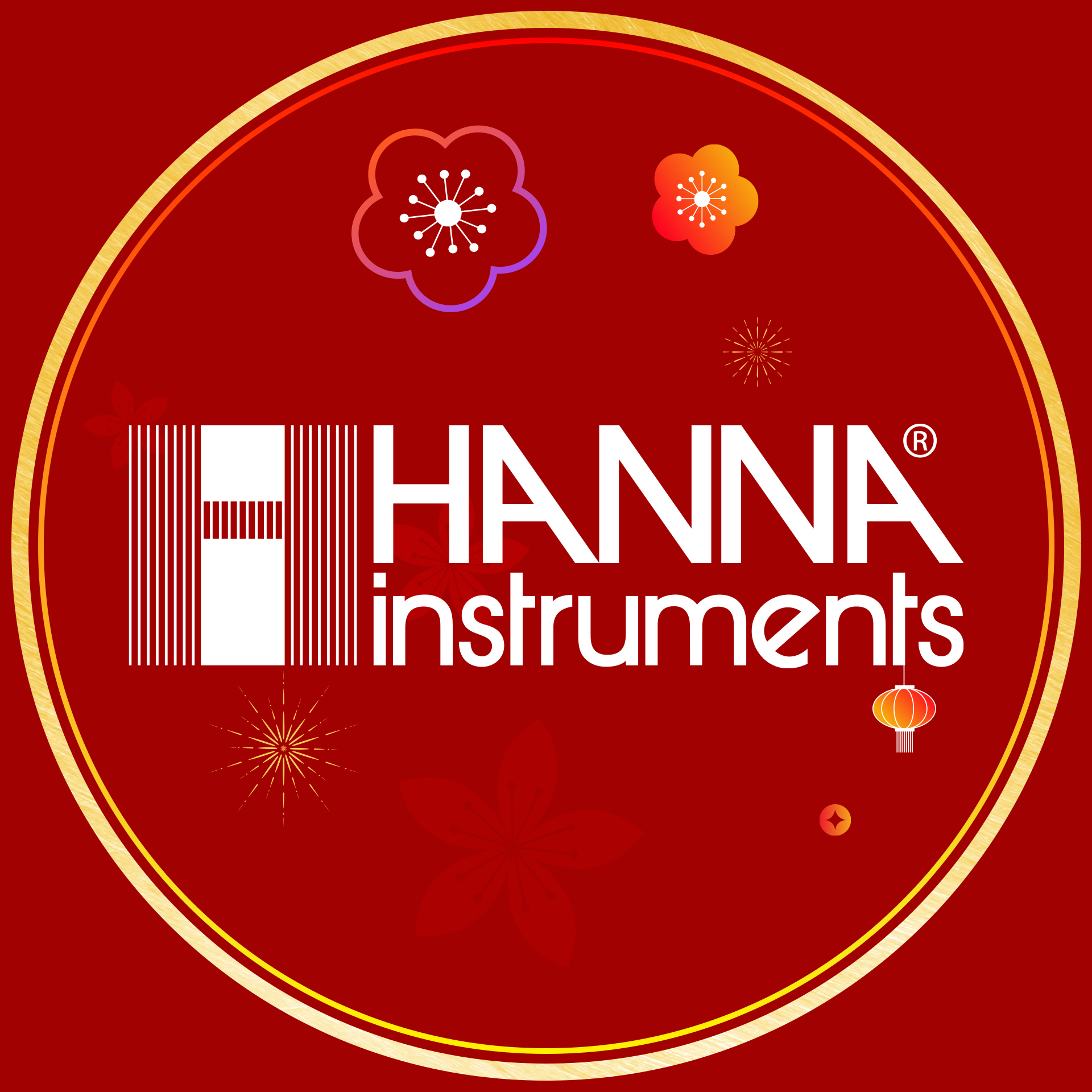 Hanna Instruments VN