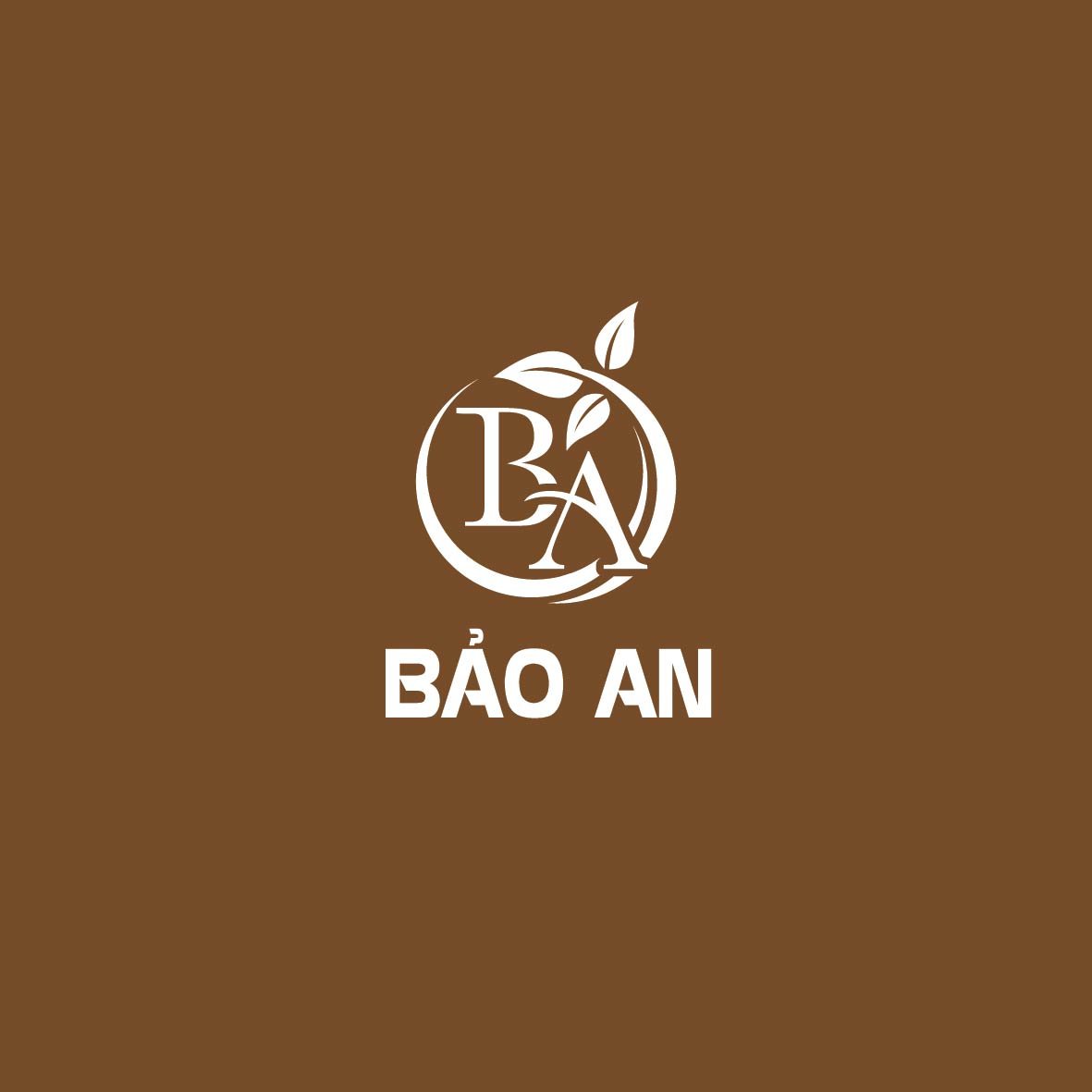 CÔNG TY TNHH BẢO AN NUT