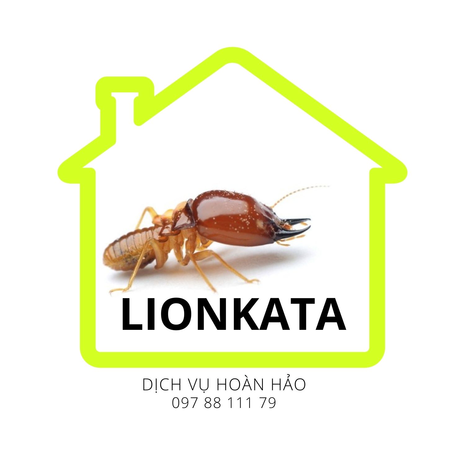 LIONKATA