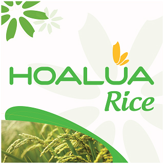 HOA LUA Rice