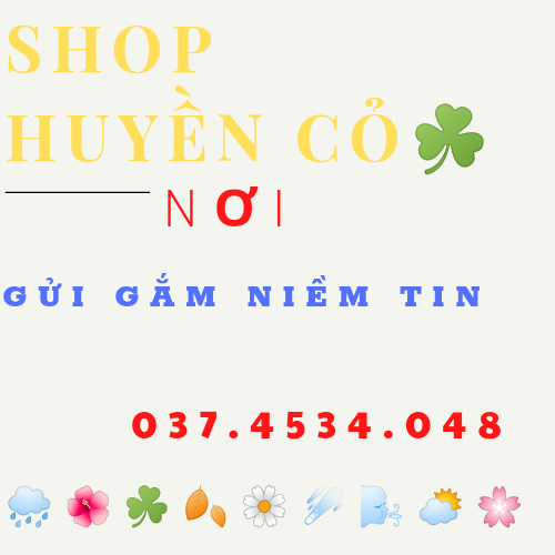 NPP HUYỀN CƠ