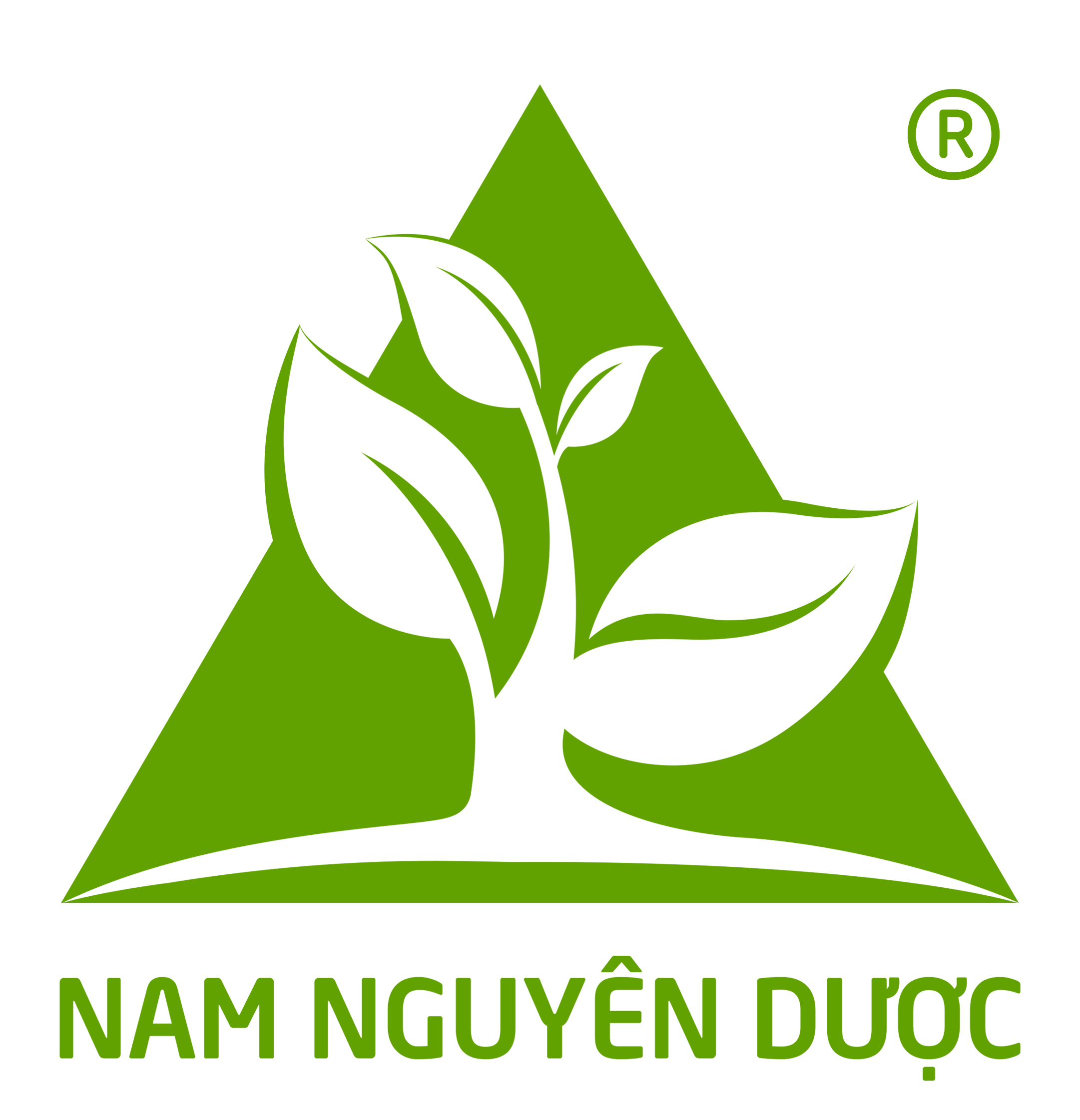 Nam Nguyên Dược