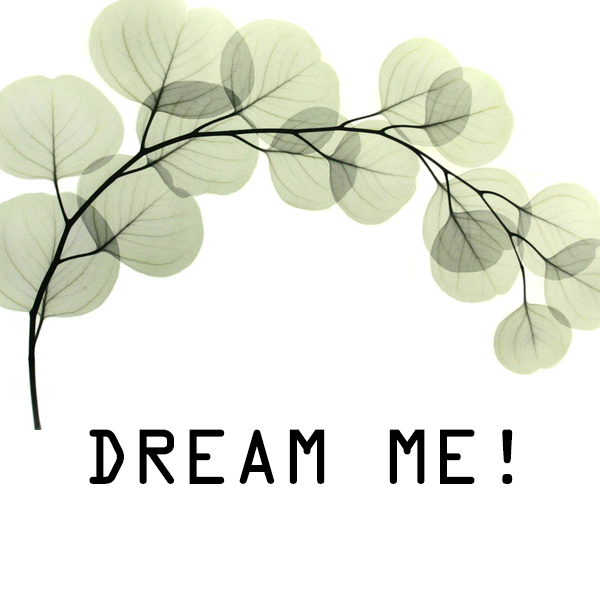 Dreammehome