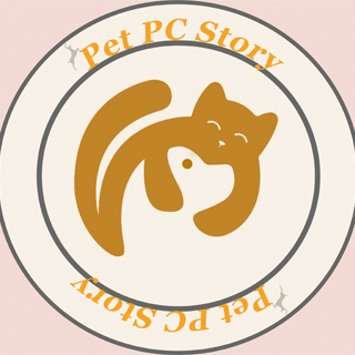 Pet PC Story