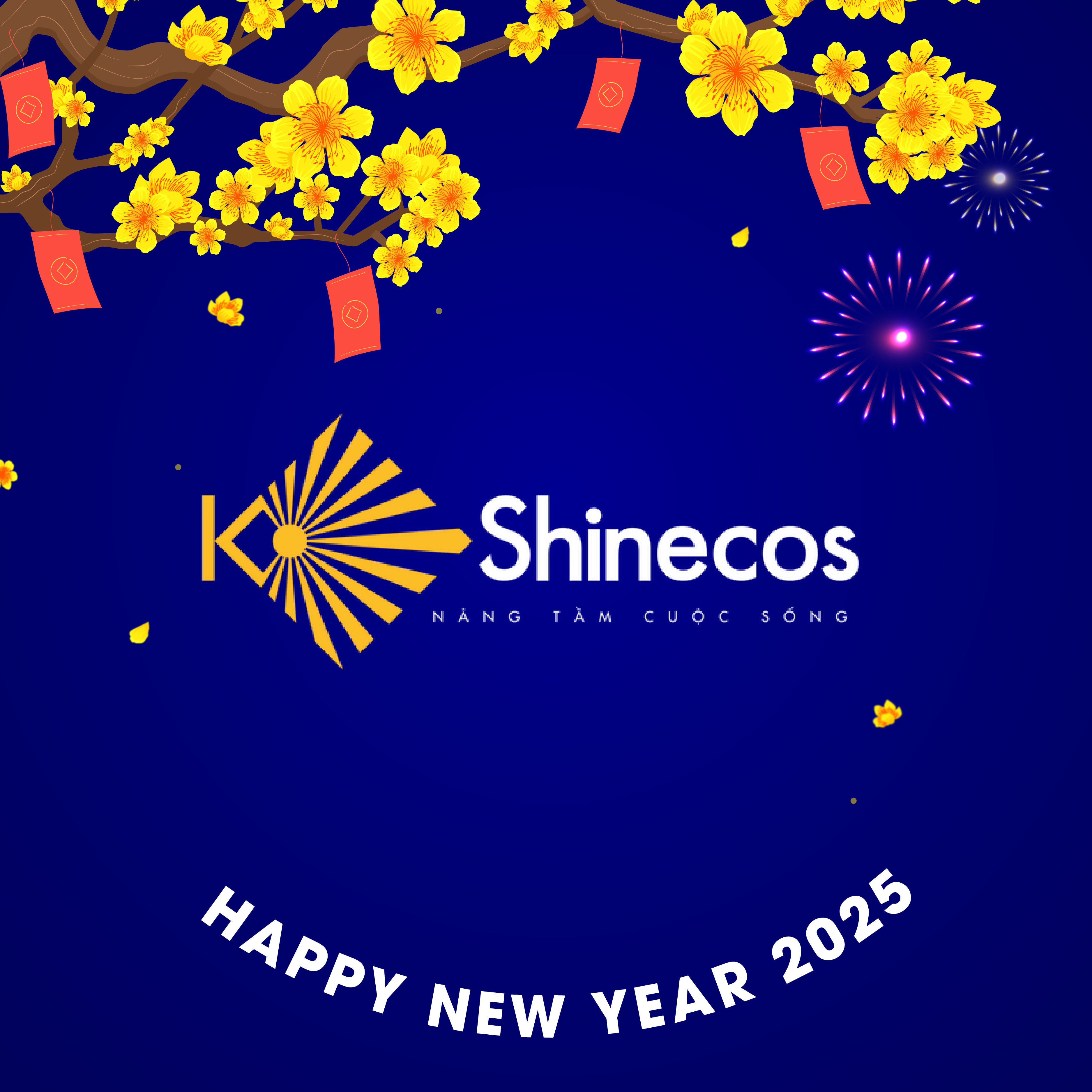 K Shinecos