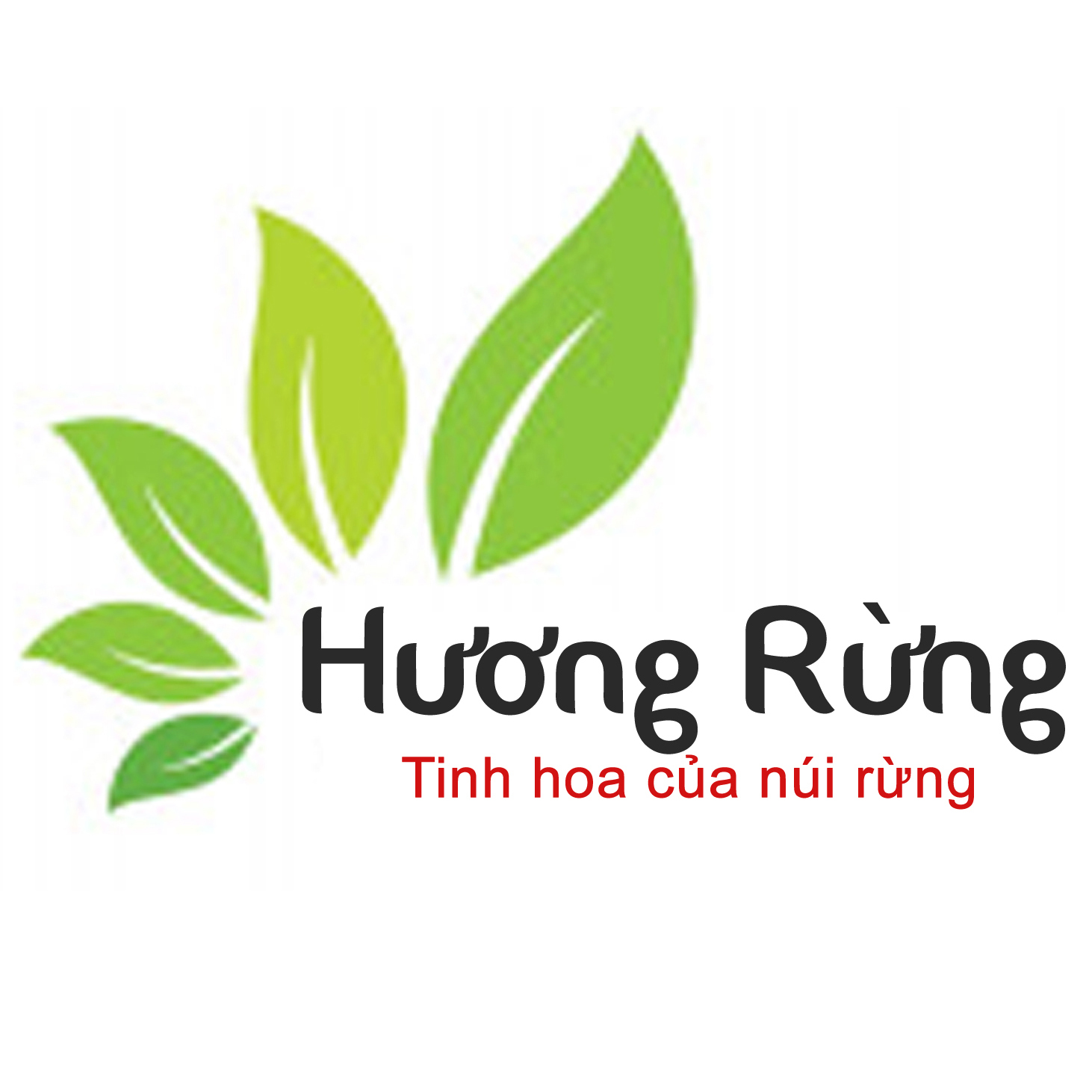huongrung101