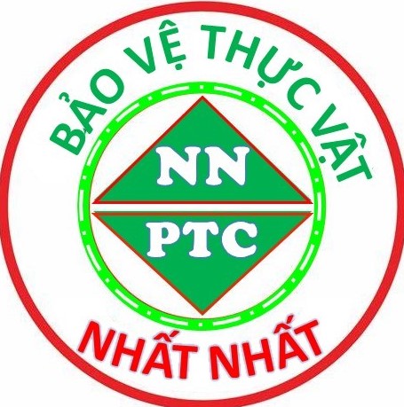 Nhất Nhất CT