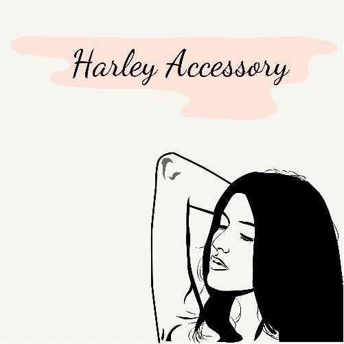 Harley Accessory