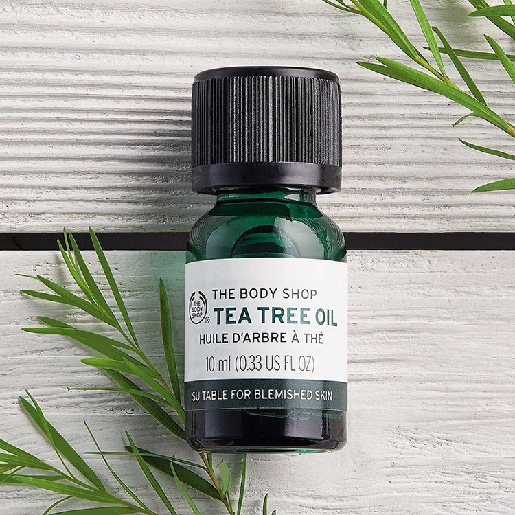 Tinh Dầu Trị Mụn The Body Shop Tea Tree Oil (10ml)