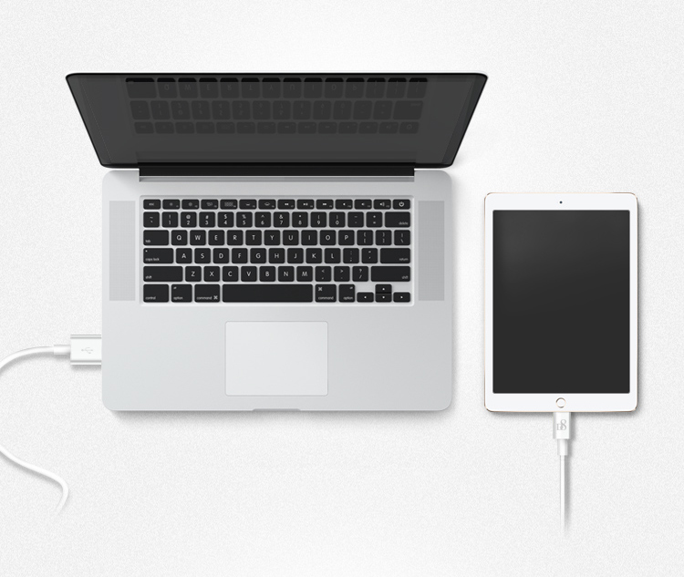 Cáp Sạc Apple Với Cổng USB Hỗ Trợ Sạc Nhanh Cho iPhone 5/6s/7+/X/iPad Pro - D8