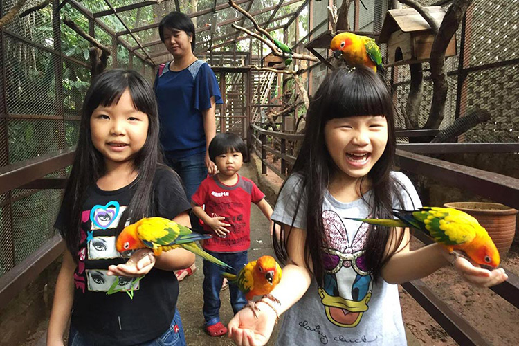 Vé Sở Thú KL Tower Mini Zoo, Kuala Lumpur