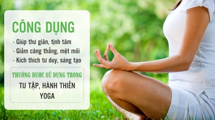 Trầm Thư Giãn Ống Trụ Xanh 40g Nhang Trầm Hương Cao Cấp Nhang Thiền Trầm Thư Giãn Ống Trụ Xanh 40g Nhang Trầm Hương Cao Cấp Nhang Thiền