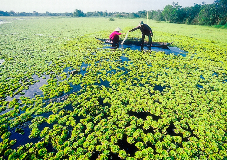 Tour Lục Tỉnh Miền Tây 4N3Đ, Chinh Phục Đất Mũi Cà Mau, Khởi Hành Hàng Ngày