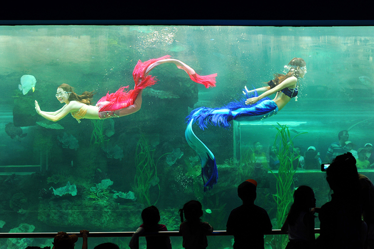 Vinpearl Phú Quốc 5* - Villa 02 Phòng Ngủ + Ăn 03 Bữa + Vinpearl Land & Safari