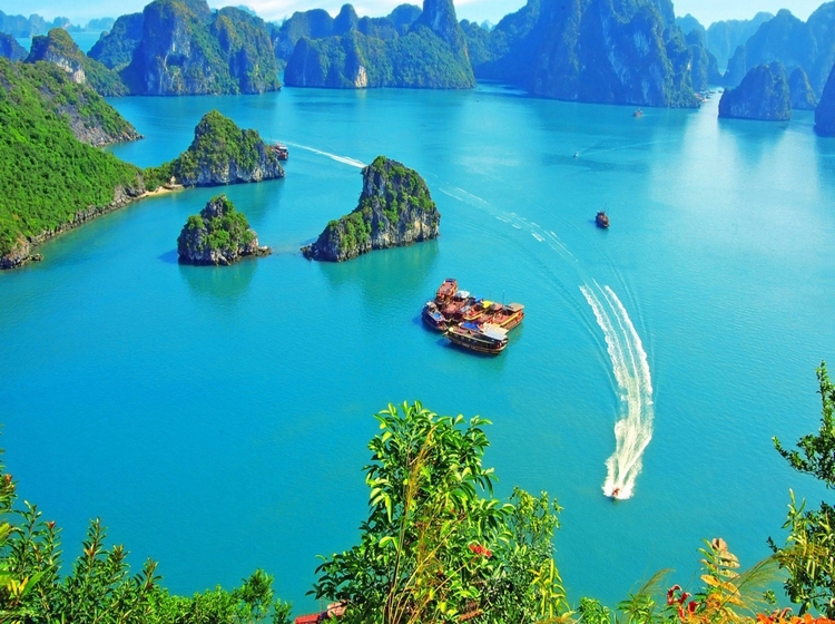 Tour 2N1Đ: Hạ Long - Tuần Châu - Du Thuyền Dragon, Khởi Hành Hàng Ngày Từ Hà Nội
