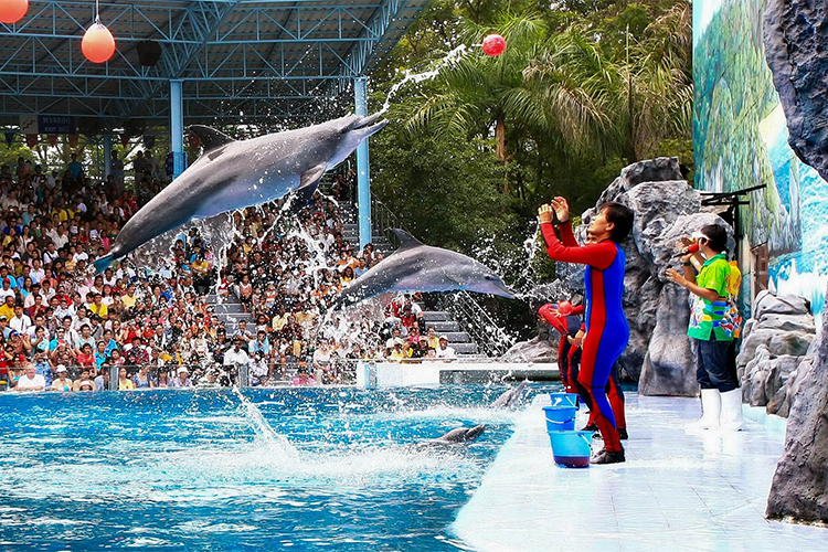 Vé Safari World Bangkok, Thái Lan - Package C: Safari Park + Marine Park + Show Thú