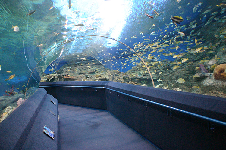 Vé Thủy Cung Underwater World Ở Pattaya, Thái Lan