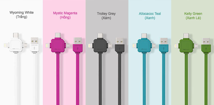 Cáp USB Type-C 3 In 1 Allocacoc - Hàng Nhập Khẩu