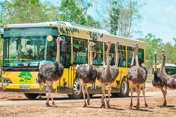 Vinpearl Phú Quốc Ocean Resort & Villas 5* - Villa 02 Phòng Ngủ + Ăn Sáng + Vinpearl Land & Safari