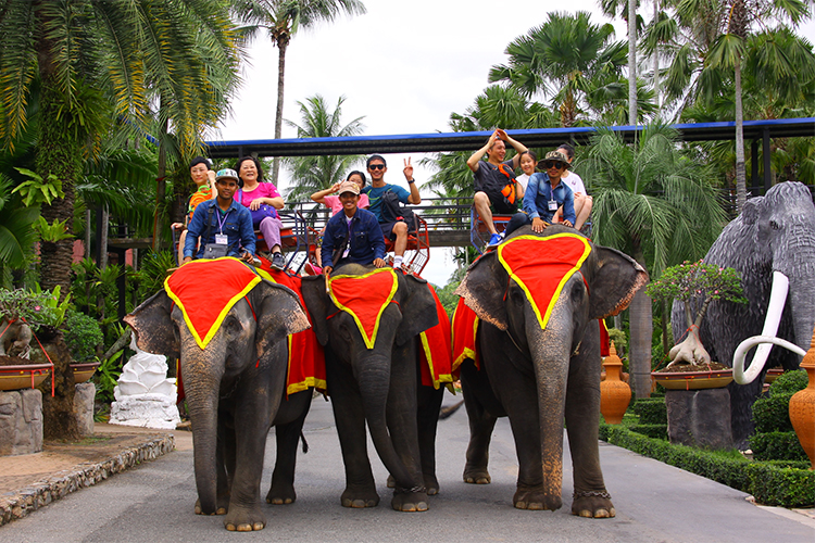 Vé Vào Cổng + Show Văn Hóa Thái + Show Biểu Diễn Voi Tại Vườn Nhiệt Đới Nong Nooch Ở Pattaya, Thái Lan