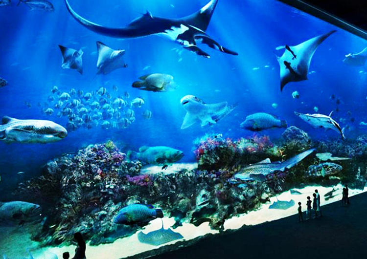 Tour Singapore - Sentosa - Sea Aquarium 3N2Đ, Khởi Hành Hàng Tuần