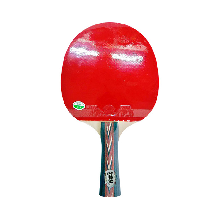 Vợt đánh bóng bàn 729-2040