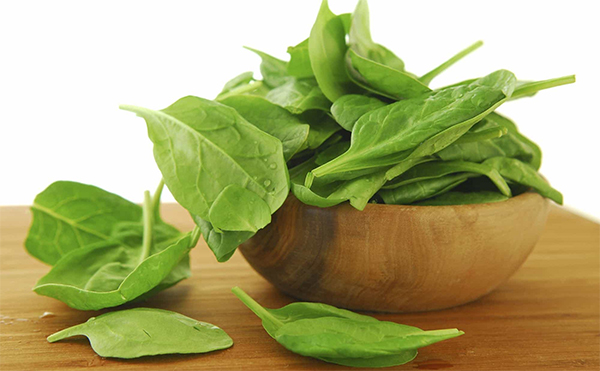 Bộ 2 Gói Hạt Giống Cải Bó Xôi Italia PN ( Trên 400 Hạt / Gói)