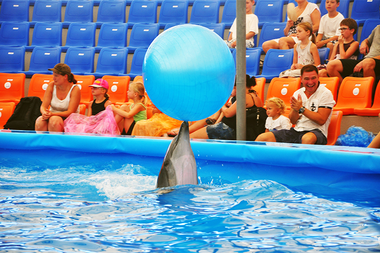 Vé Dolphins Bay Nemo Phuket, Thái Lan - Ghế Thường