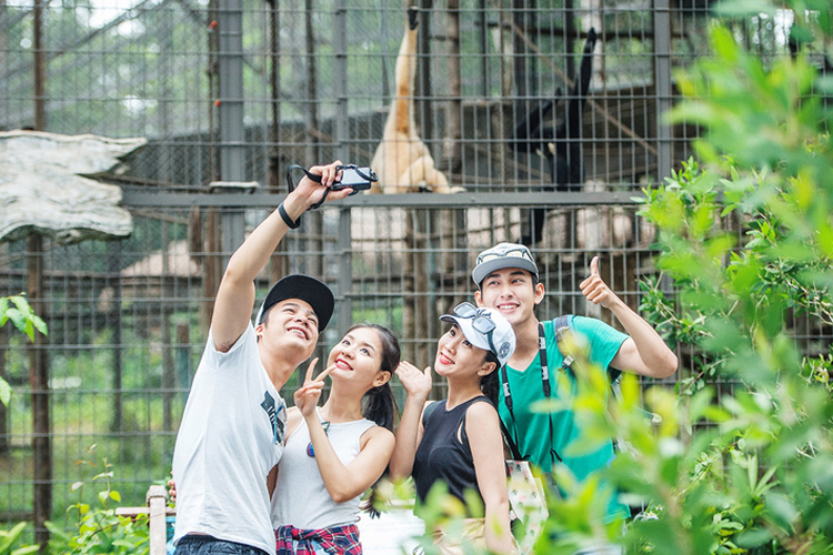 Vinpearl Phú Quốc 5* - Villa 02 Phòng Ngủ + Ăn 03 Bữa + Vinpearl Land & Safari