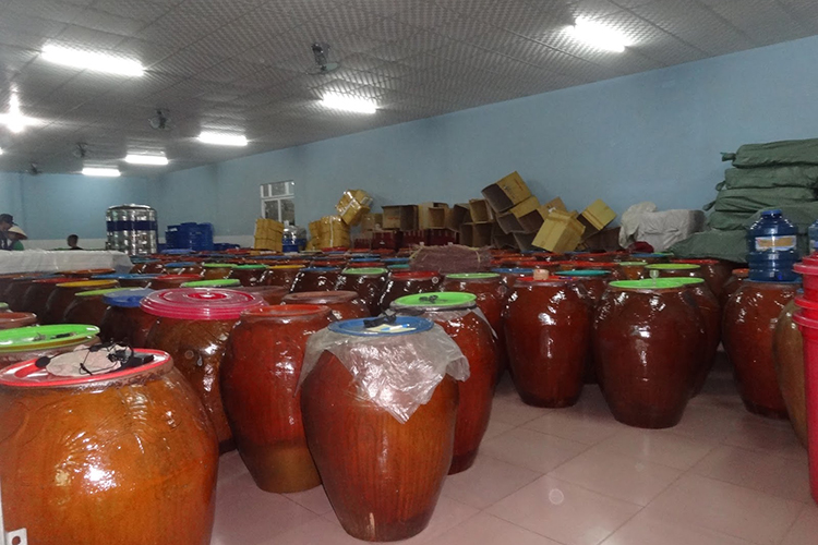 Tour Phú Quốc 2N1Đ, Khởi Hành Hàng Ngày, Áp Dụng Lễ