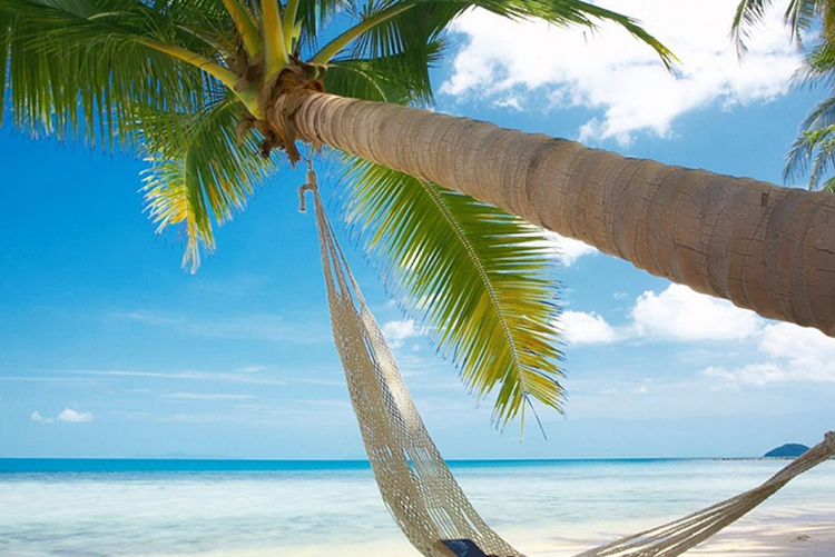 Tour Hè Phú Quốc - Nam Đảo: Câu Cá, Lặn Ngắm San Hô 01 Ngày, KH Hàng Ngày