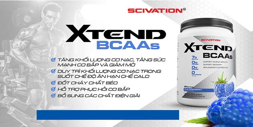 Combo XTEND BCAA của Scivation hương Blue Raspberry hộp 90 lần dùng 1248g & Bình lắc 600 ml