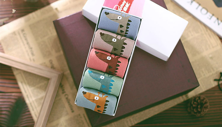 Beijirog Women's Cartoon Socks 5 pairs