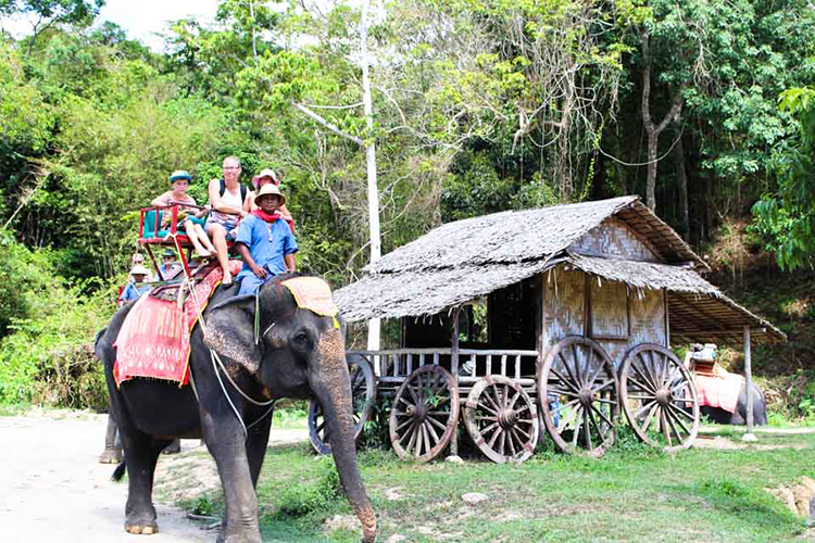 Vé Phuket Safari Gói D + Bữa Trưa (08:00 -12:30)