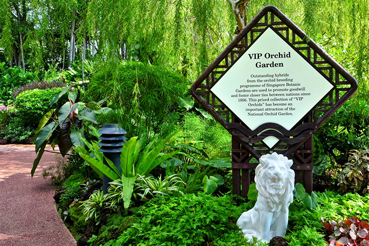 Vé Tham Quan Vườn Lan National Orchid Garden Ở Singapore