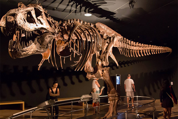 Vé Science Centre Và Rạp Phim Ommi Ở Singapore