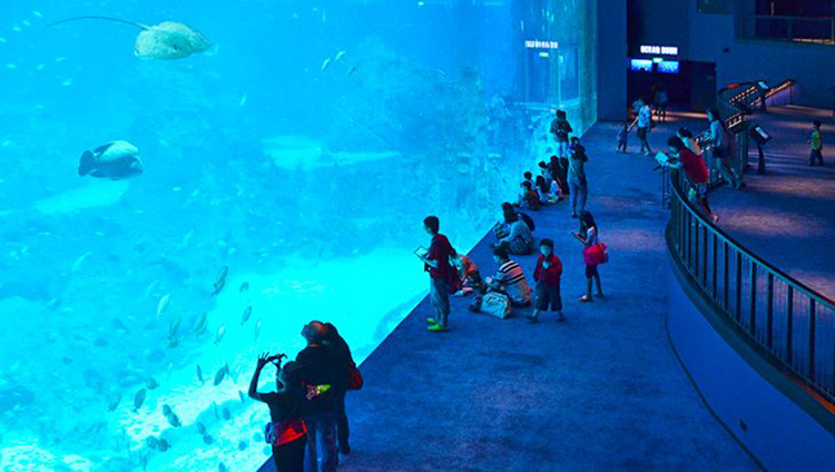 Vé Sea Aquarium SIN00501