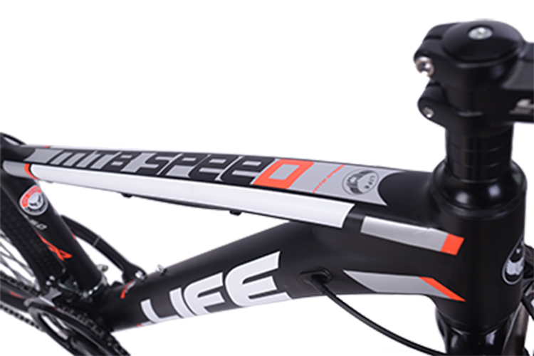 Xe Đạp Địa Hình Life XTR380-5.0