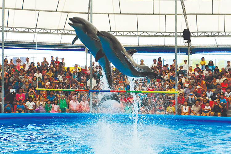 Vé Dolphins Bay Nemo Phuket, Thái Lan - Ghế Thường