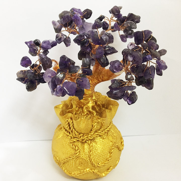 Cây Phát Tài cho người mệnh Thủy