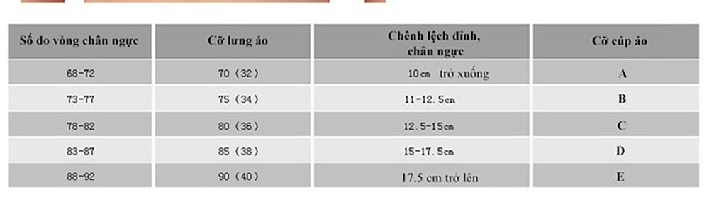 Bộ đồ lót cotton phối ren ngực ZOBEE BDL 7313